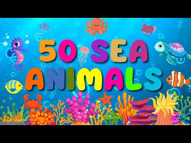 50 Sea Animals for Kids and Toddlers Learning | English Vocabulary | Kids Learning | BrainyBeams