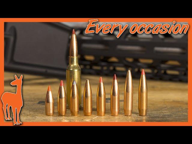 RFR #2: The Most Flexible Cartridge in the World? 6mm ARC vs 6.5 Grendel vs 224 Valkyrie