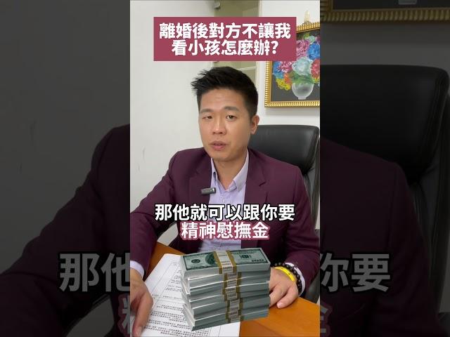 離婚後對方不讓我看小孩怎麼辦？#流氓律師 #湛址傑 #法律