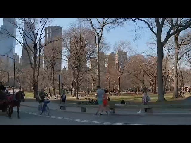New partnership works to make Central Park safer, cleaner, and more vibrant for visitors
