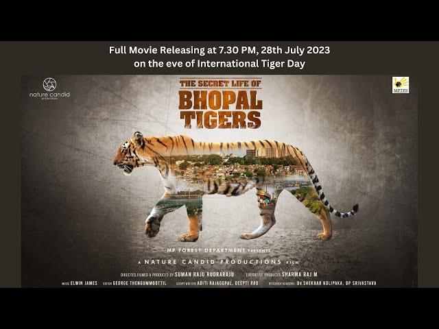 Urban Tigers | Bhopal Tigers | The Secret Life of Bhopal Tigers - Full Movie