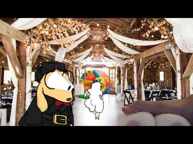 The Wedding Anecdotes