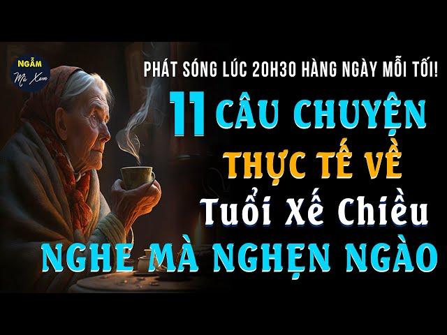 11 Câu Chuyện Thực Tế Ở Tuổi Xế Chiều, Nghe Mà Nghèn Nghẹn Nơi Cổ Họng | Kể Chuyện Đêm Khuya