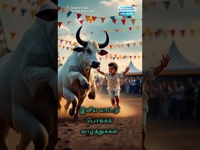 On this Bounteous Occasion may Happiness come to you in all Abundance.HAPPY MATTU PONGAL #short
