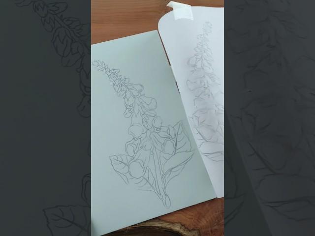 A glimpse of a work in progress: Foxglove #shorts#cottagecore#linocut#art #flowers#nature#garden