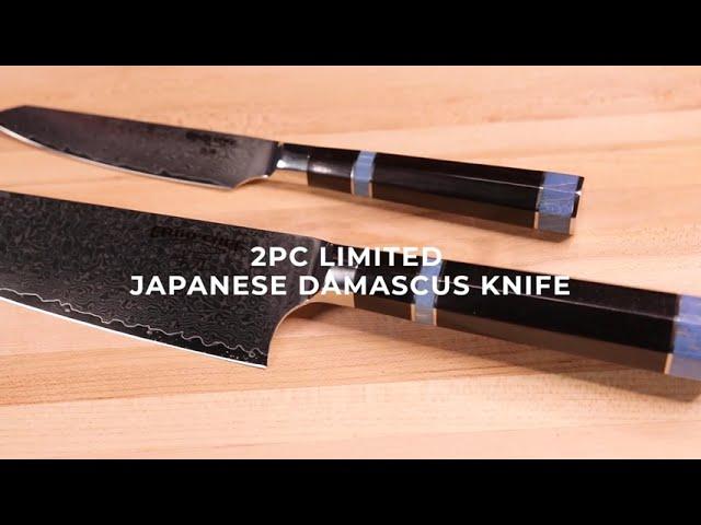 2pc Japanese Damascus Limited Knife Set by Ergo Chef