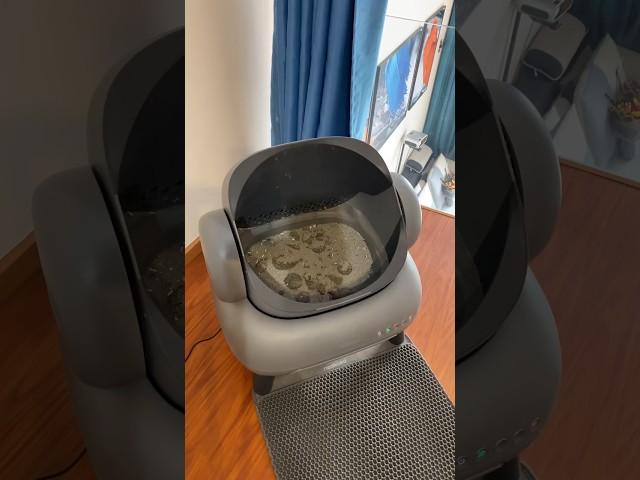 smart cat litter box Neakasa: #Smartcatlitterbox #Raisecat #cat #catlitter #clean #pet #neakasa