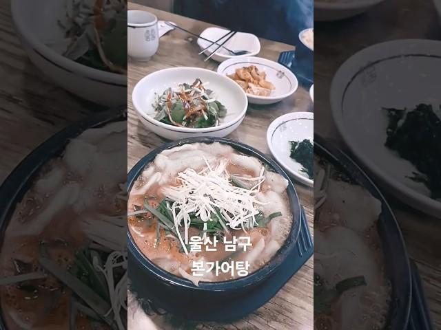 울산남구 본가어탕(선암점) #본가어탕 #어탕수제비 #어탕칼국수