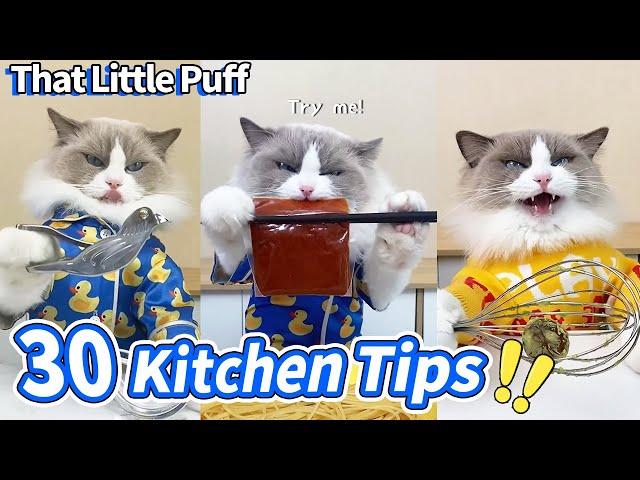 Meow Chef: 30 Kitchen Tips You Need To Know! | That Little Puff