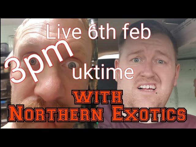 NORTHERN EXOTICS SCOTTS INVERTS BIRTHDAY STREAM