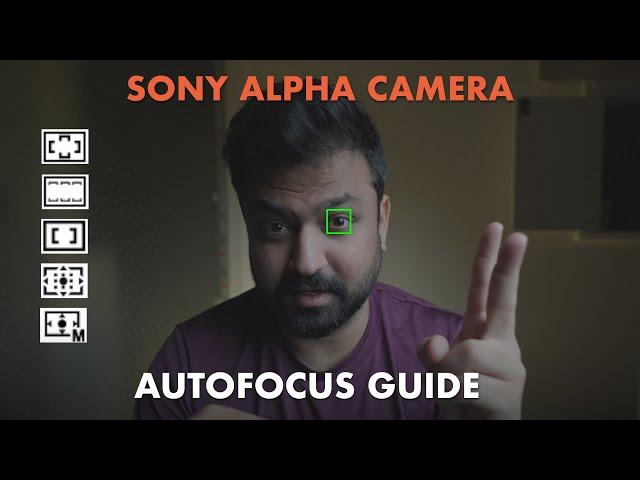 Sony A7IV Autofocus - Settings/Modes Explained