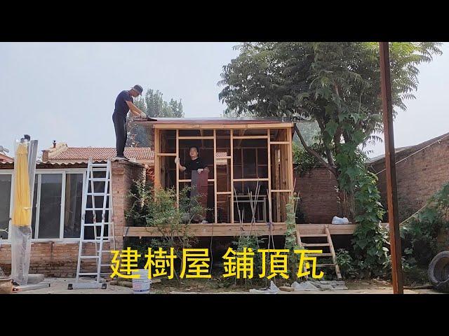 一起带娃 建树屋 铺屋面瓦  Building a tree house  install roof tiles