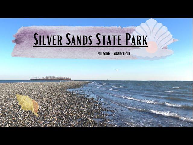 Scenes from Silver Sands Beach in Milford , Connecticut