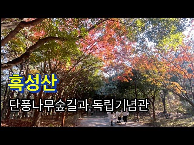 241110 / 흑성산 / 물들어가는 단풍나무숲길과 독립기념관 / 독립기념관-단풍나무숲길-C코스-흑성산정상-흑성산성-B코스-단풍나무숲길-독립기념관 /