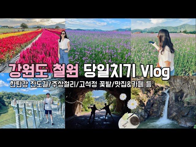 가을꽃축제 고석정꽃밭한탄강 주상절리 잔도길 강원도 철원 당일치기 여행 VLOG (가을여행지추천)