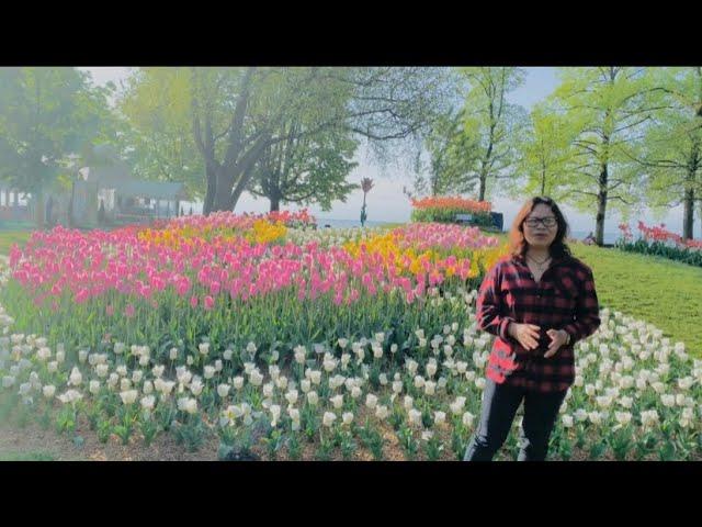 THE FAMOUS TULIP GARDEN IN SWITZERLAND#Nelfa Sela Vlog