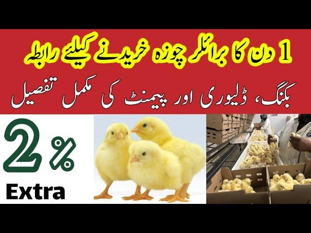 Day-Old Broiler chick RATE 13-06-2022 || How to Buy Broiler 1 day chick ?