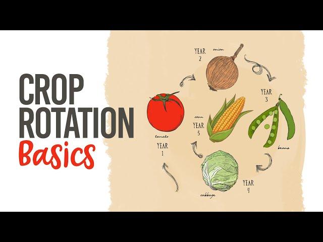 Crop Rotation Basics