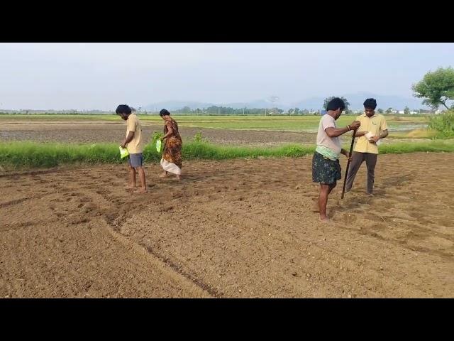  Nature Meets Nurture | Real Organic Farming Practices | Sustainable Agriculture 