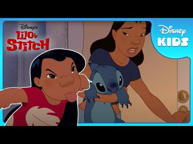 Stitch Settles Into His New Home | Lilo and Stitch | Disney Kids