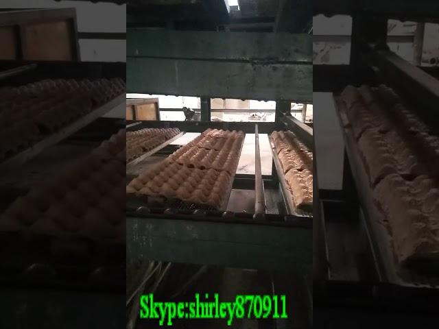 4000 pcs/h egg trays dryer