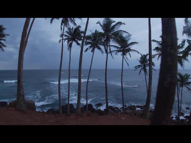 Coconut Tree Hill | Mirissa Sri Lanka