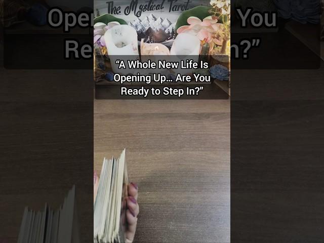 “The universe is handing you a golden opportunity" #love #tarot #universe #message