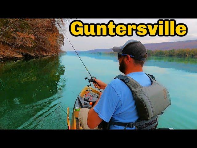 This Lake Has Monster Bass (Guntersville Lake)