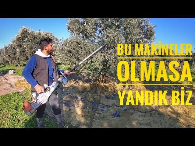 STİLL zeytin silkeleme makinesi