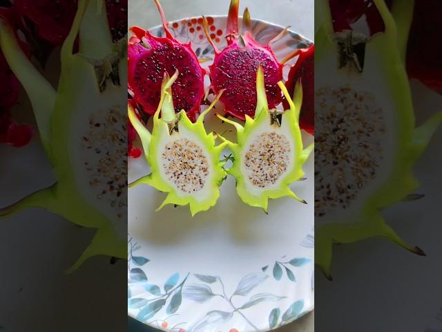 দেখুন কাঁচা ড্রাগন ফল। Dragon Fruit #shorts #dragon #dragonfruit #gardening