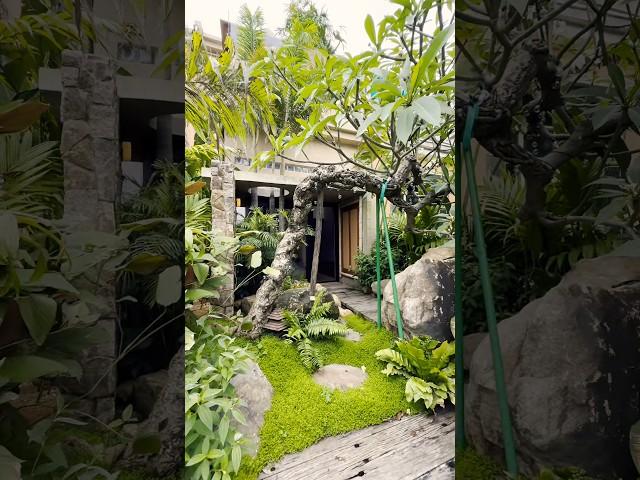 香港业主在中山的别墅，造成热带雨林度假风，装修前后对比 #interiordesign #home #relax #中山大平层 #mountains #中山别墅#中山装修设计#中山设计师#中山园林设计