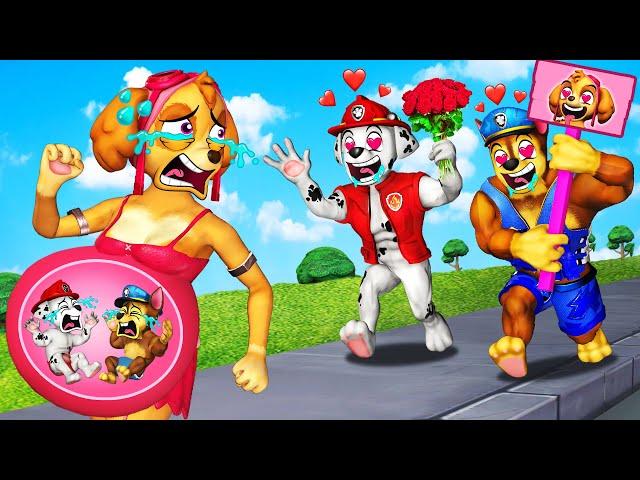 OMG! Pregnant Skye Escape From Fans Club Marshall & Chase! | So Sad Story | Paw Patrol 3D Animation