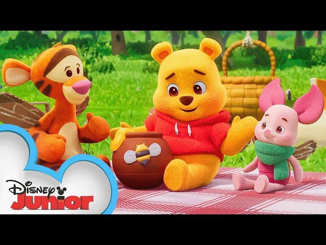 Playdate with Winnie the Pooh | Piglet, Tigger and the Cardboard Box | Episode 4 | @disneyjr