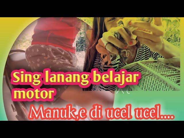 [VLOG] Belajar Motor 2 hari lolos // super Vlog