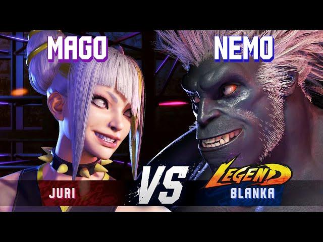 SF6 ▰ MAGO (Juri) vs NEMO (Blanka) ▰ High Level Gameplay