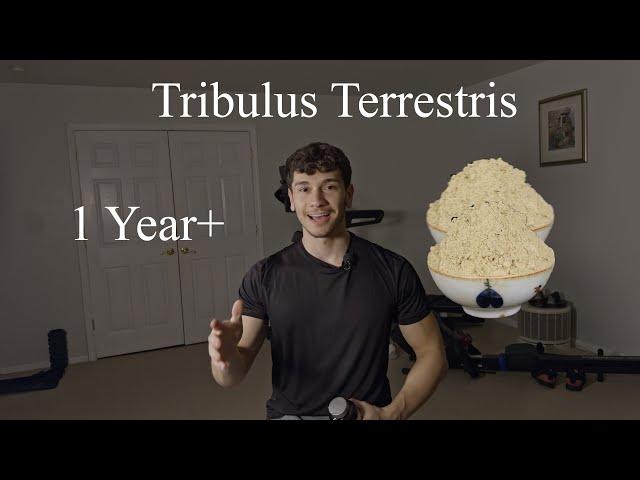 1 Year+  Tribulus Terrestris Review