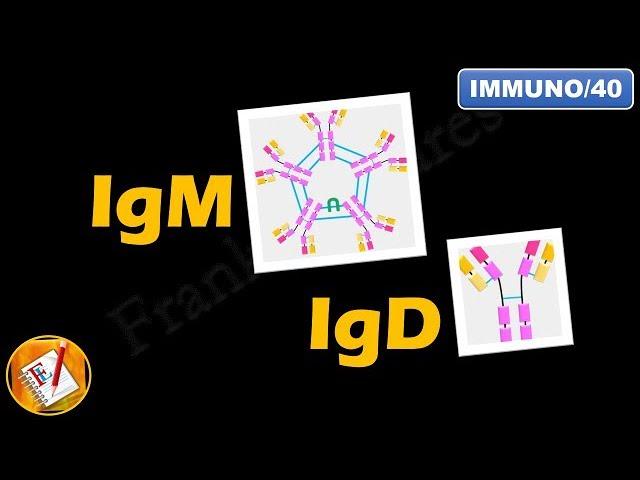 IgM, IgD : Structure, Properties and Functions (FL-Immuno/40)