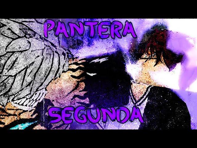 [Type Soul] BOSS RAIDING WITH THE BROKEN PANTERA SEGUNDA ( HAKUDA )