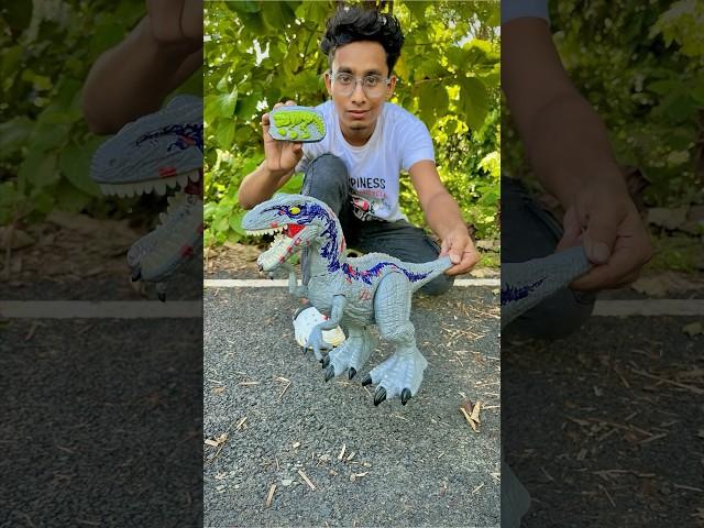 Big two Remote Control Dinosaur testing