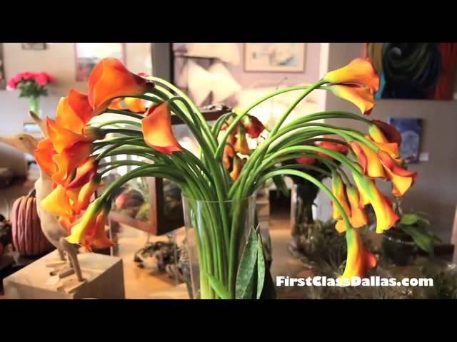 Mia Fiori Flower Shop | Plano, Texas | Shops at Legacy