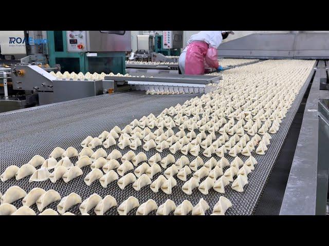 Chewyoungroo Frozen Korean Dumpling Mandu Mass Manufacturing Process _ ROAExpo