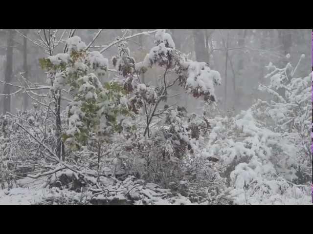 Snowtober Snow Storm in New York !