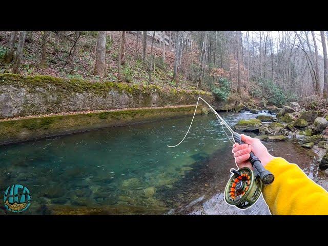 My first Trout of 2024! (Fly Fishing for Brook, Rainbow, and Brown Trout)