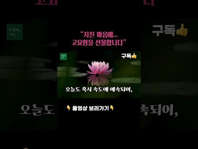 “마음을 쉬게 하는 부처님 말씀 – 듣기만 해도 편안해집니다” #asmr #자기수행 #마음공부 #명상 #부처님말씀  #좋은글