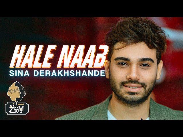 Sina Derakhshande - Hale Naab | OFFICIAL TRACK ( سینا درخشنده - حال ناب  )