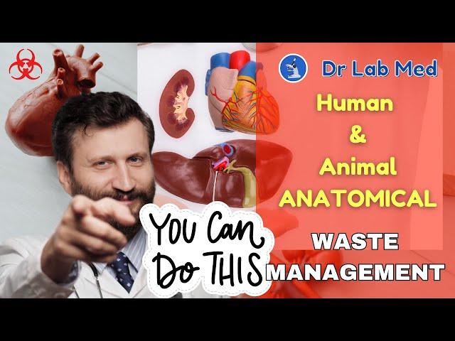 Unlocking the Secret Facts of Human & Animal Anatomical Waste Management: