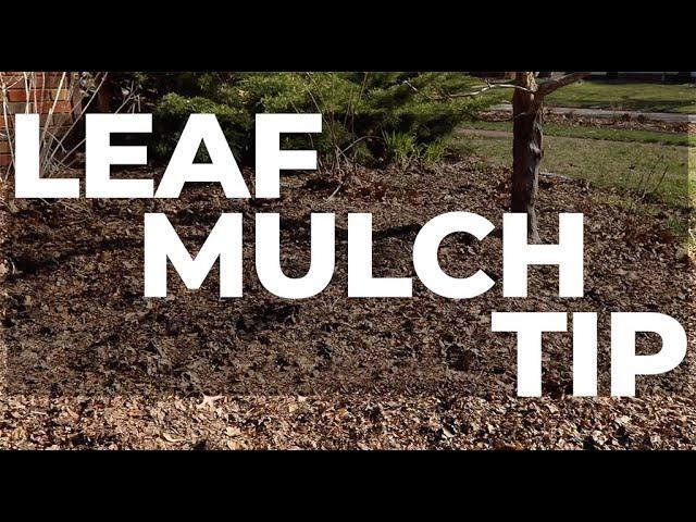 Leaf Mulch Tip