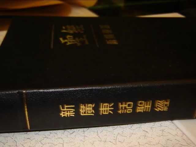 Leather Bound New Cantonese Bible