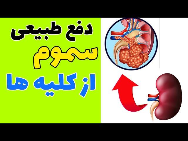 چگونه بطور طبیعی کلیه ها را سم زدایی کنیم؟