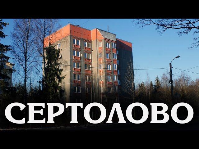 СЕРТОЛОВО | ВОЕННЫЙ ГОРОДОК, НОВОСТРОЙКИ, ГОРОД У ТРАССЫ